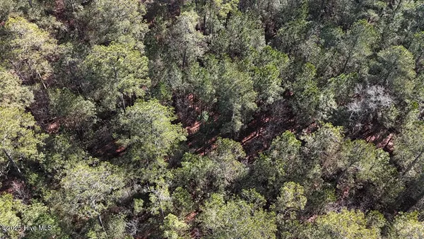 $399,000 | Lot 7 Sandy Point Road, Scranton, NC 27875