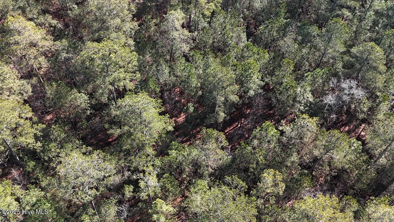 Lot 7 Sandy Point Road Scranton, NC 27875 - Photo 30 of 53 DJI_20250203122911_0255_D Large