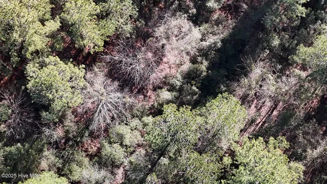 $399,000 | Lot 7 Sandy Point Road, Scranton, NC 27875