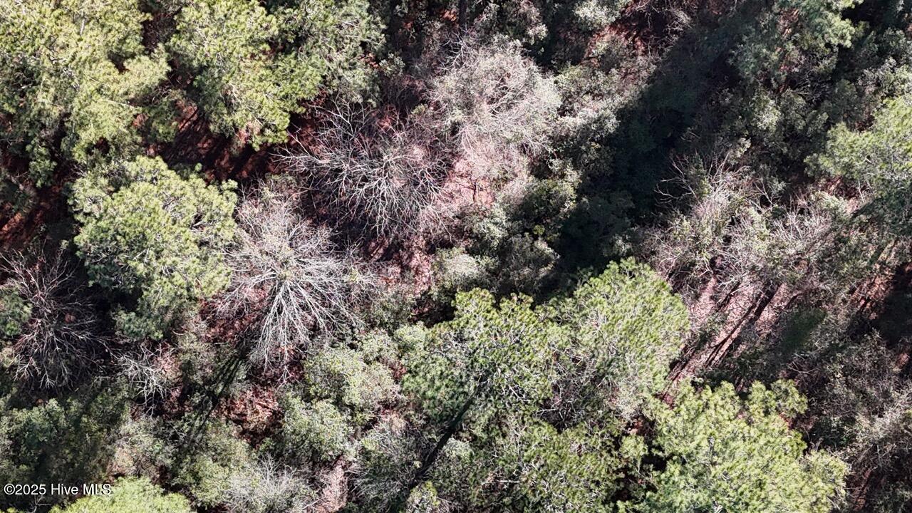 Lot 7 Sandy Point Road Scranton, NC 27875 - Photo 31 of 53 DJI_20250203123042_0257_D Large