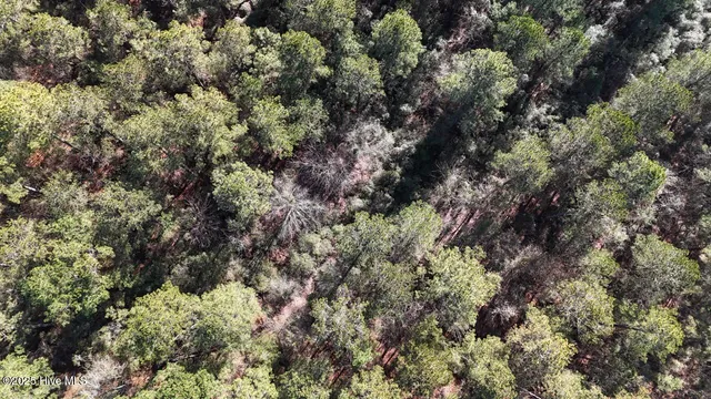 $399,000 | Lot 7 Sandy Point Road, Scranton, NC 27875