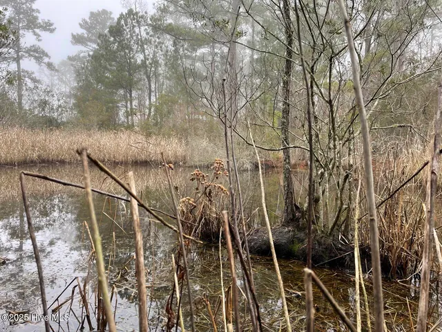 $399,000 | Lot 7 Sandy Point Road, Scranton, NC 27875