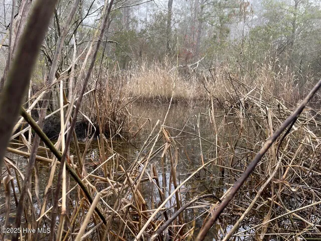 $399,000 | Lot 7 Sandy Point Road, Scranton, NC 27875