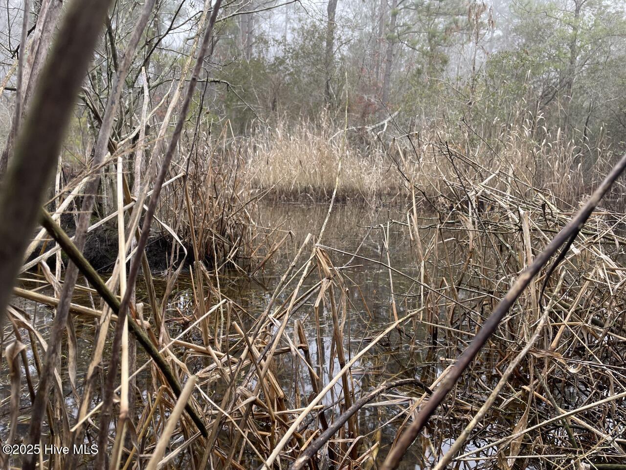 Lot 7 Sandy Point Road Scranton, NC 27875 - Photo 34 of 53 IMG_4149 Large