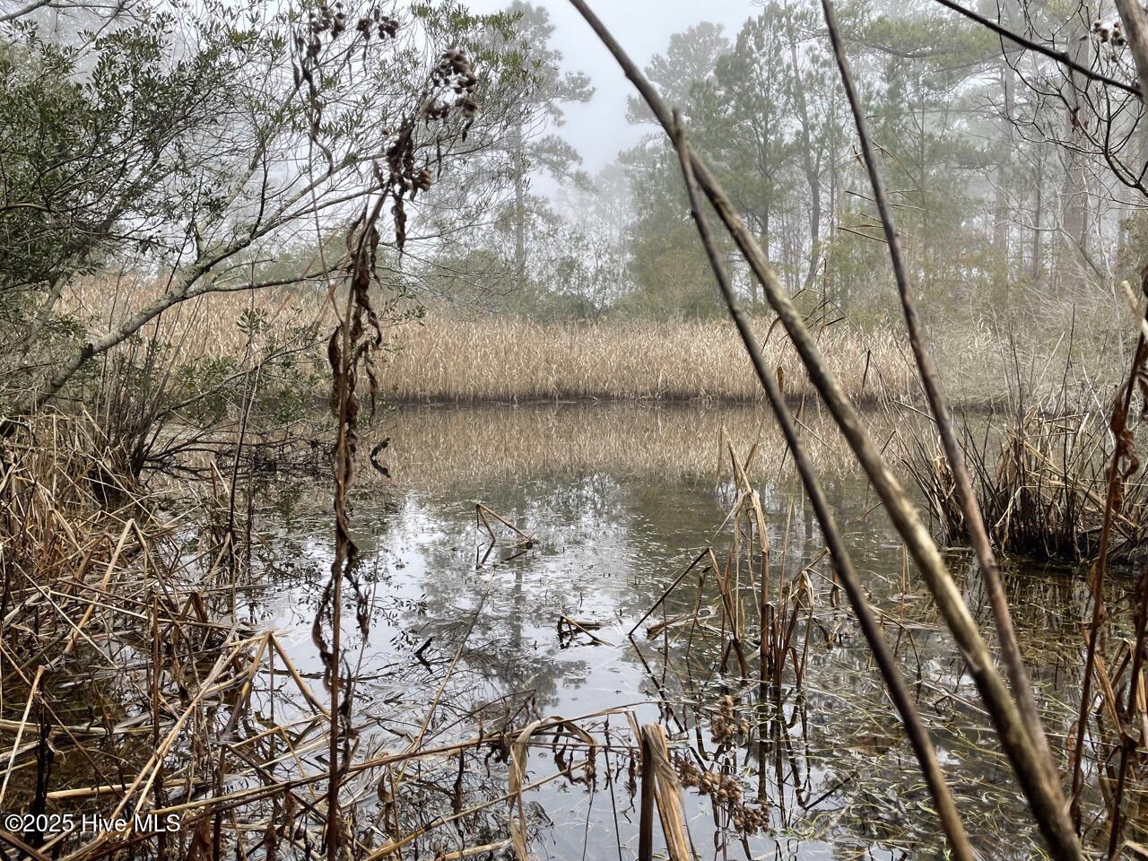 Lot 7 Sandy Point Road Scranton, NC 27875 - Photo 35 of 53 IMG_4148 Large