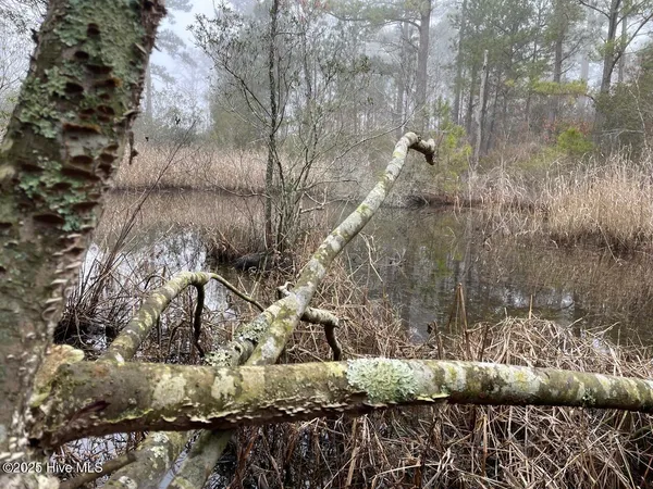 $399,000 | Lot 7 Sandy Point Road, Scranton, NC 27875