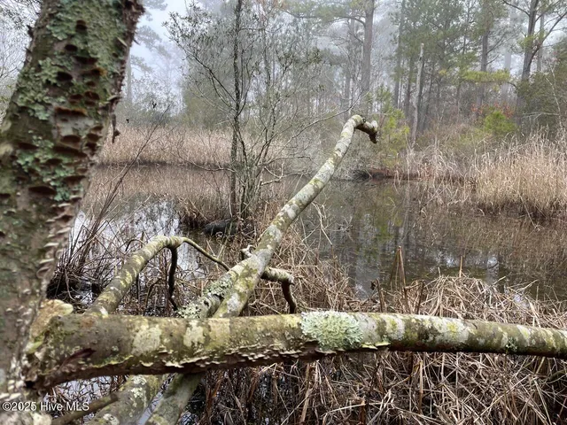 $399,000 | Lot 7 Sandy Point Road, Scranton, NC 27875