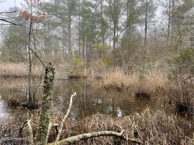 $399,000 | Lot 7 Sandy Point Road, Scranton, NC 27875