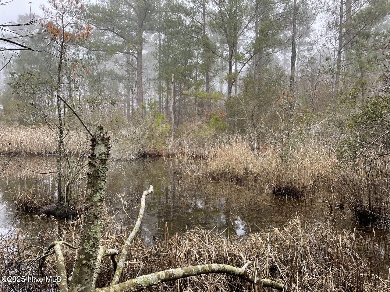 Lot 7 Sandy Point Road Scranton, NC 27875 - Photo 37 of 53 IMG_4146 Large