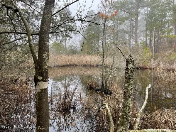 $399,000 | Lot 7 Sandy Point Road, Scranton, NC 27875