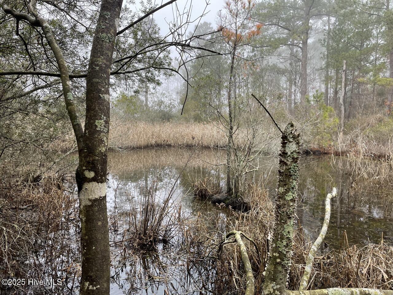 Lot 7 Sandy Point Road Scranton, NC 27875 - Photo 39 of 53 IMG_4144 Large