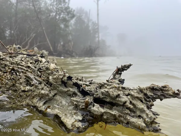 $399,000 | Lot 7 Sandy Point Road, Scranton, NC 27875