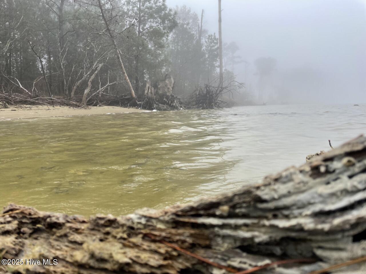 Lot 7 Sandy Point Road Scranton, NC 27875 - Photo 41 of 53 IMG_4153 Large