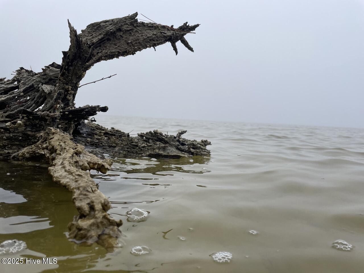 Lot 7 Sandy Point Road Scranton, NC 27875 - Photo 42 of 53 IMG_4151 Large