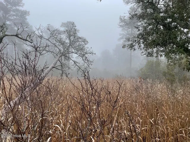 $399,000 | Lot 7 Sandy Point Road, Scranton, NC 27875