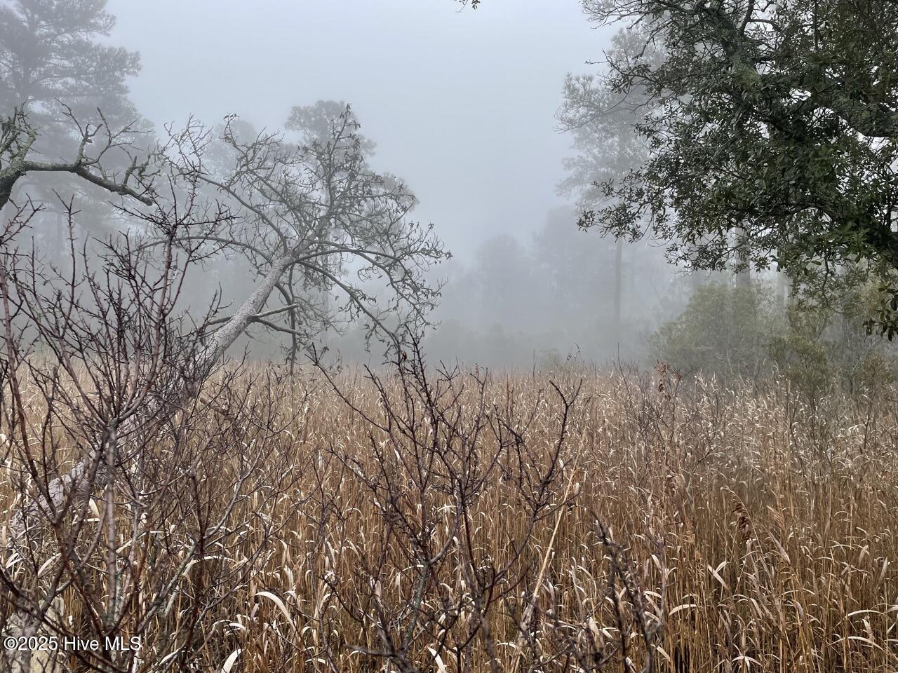 Lot 7 Sandy Point Road Scranton, NC 27875 - Photo 43 of 53 IMG_4154 Large