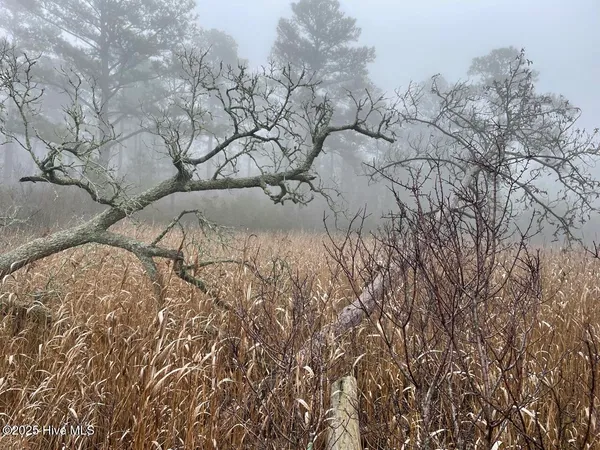 $399,000 | Lot 7 Sandy Point Road, Scranton, NC 27875