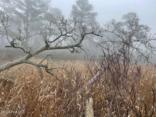 $399,000 | Lot 7 Sandy Point Road, Scranton, NC 27875