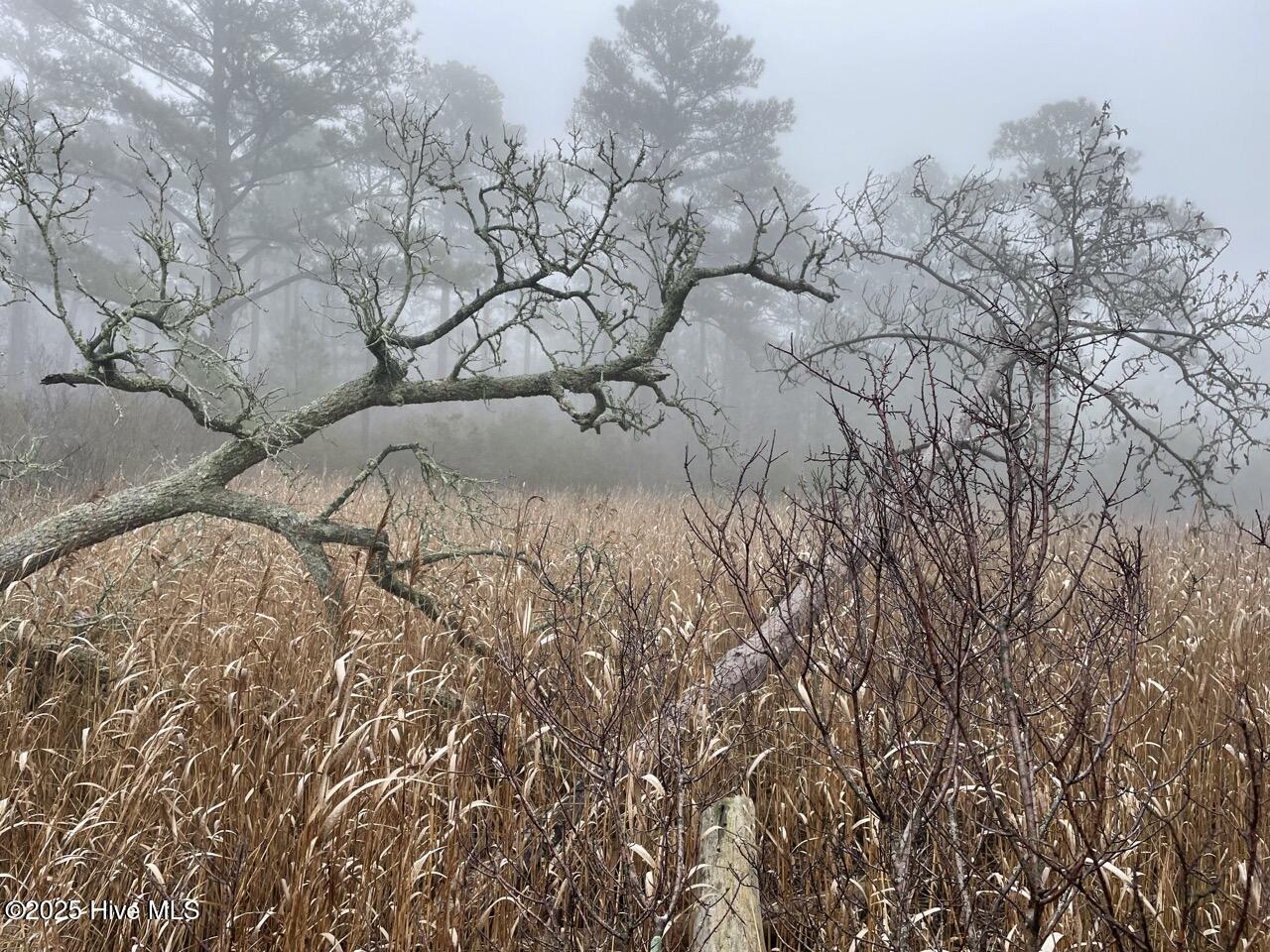Lot 7 Sandy Point Road Scranton, NC 27875 - Photo 44 of 53 IMG_4156 Large