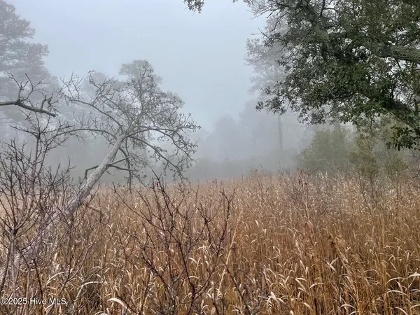 $399,000 | Lot 7 Sandy Point Road, Scranton, NC 27875