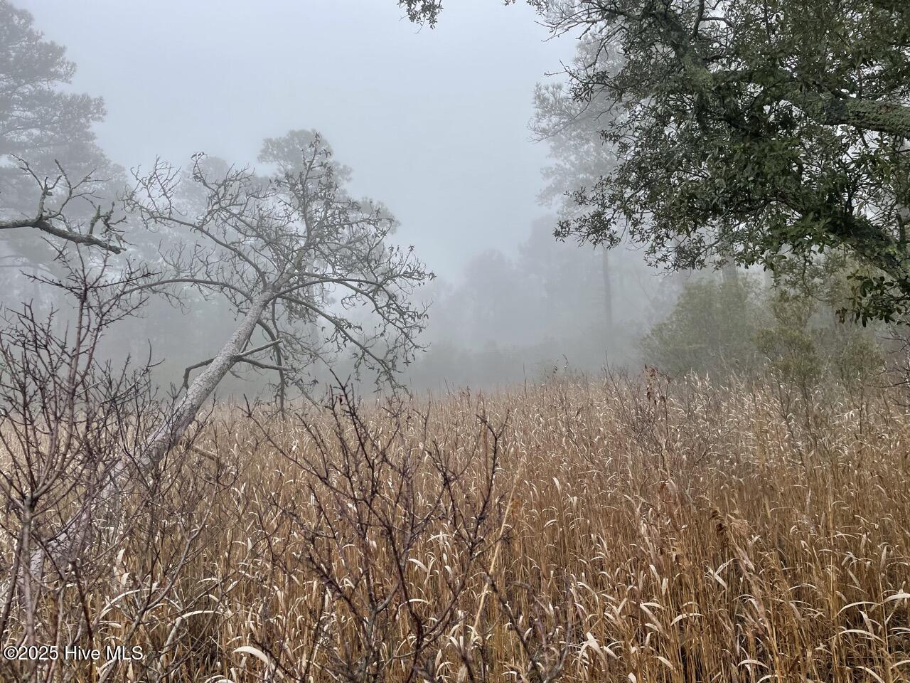 Lot 7 Sandy Point Road Scranton, NC 27875 - Photo 45 of 53 IMG_4157 Large