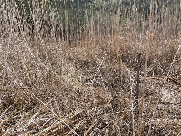 $399,000 | Lot 7 Sandy Point Road, Scranton, NC 27875