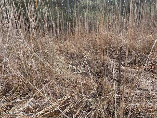 $399,000 | Lot 7 Sandy Point Road, Scranton, NC 27875