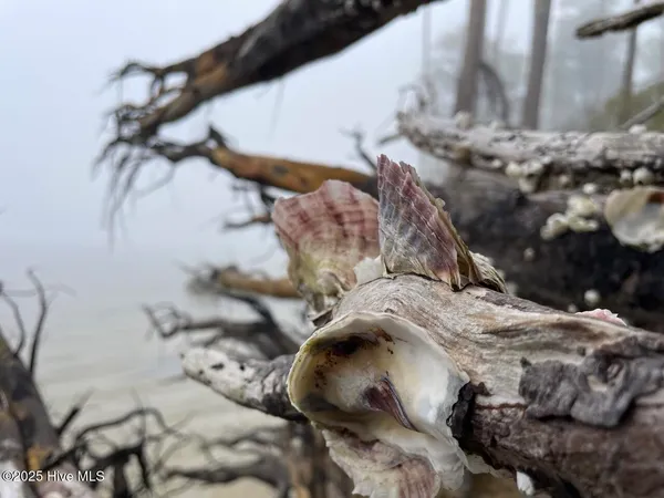 $399,000 | Lot 7 Sandy Point Road, Scranton, NC 27875