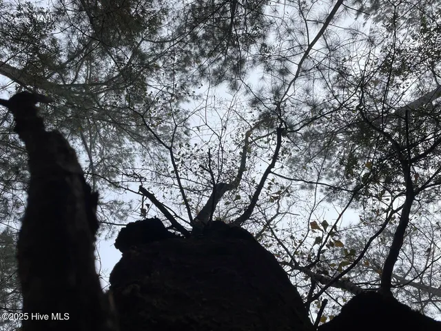 $399,000 | Lot 7 Sandy Point Road, Scranton, NC 27875