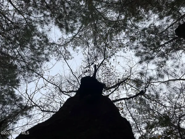 $399,000 | Lot 7 Sandy Point Road, Scranton, NC 27875