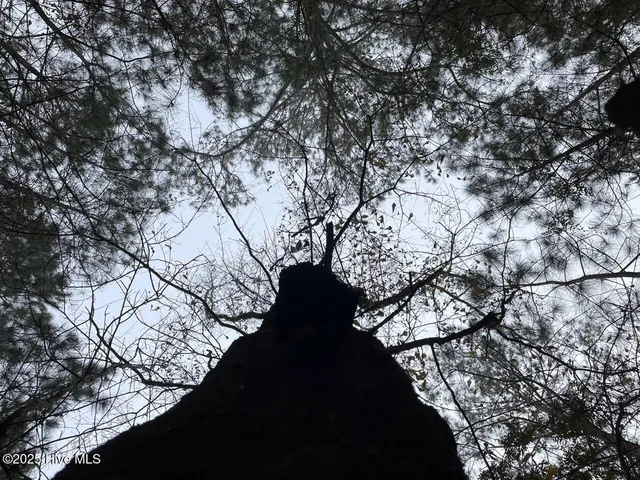 $399,000 | Lot 7 Sandy Point Road, Scranton, NC 27875