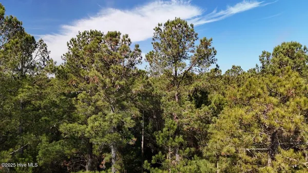 $399,000 | Lot 7 Sandy Point Road, Scranton, NC 27875