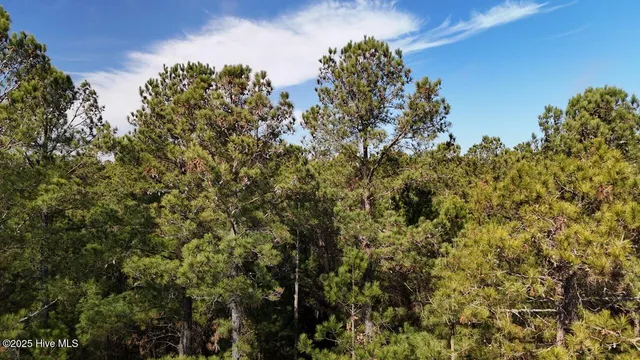 $399,000 | Lot 7 Sandy Point Road, Scranton, NC 27875