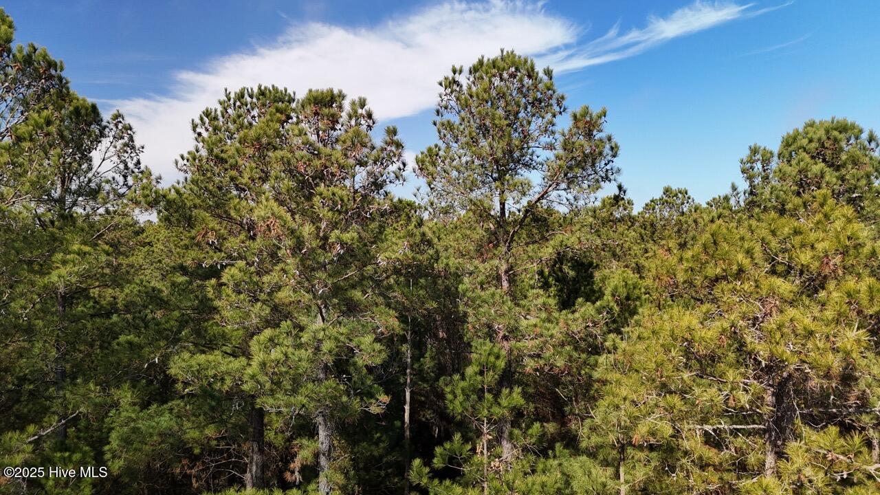 Lot 7 Sandy Point Road Scranton, NC 27875 - Photo 5 of 53 DJI_20250203121504_0218_D Large