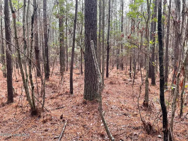 $399,000 | Lot 7 Sandy Point Road, Scranton, NC 27875