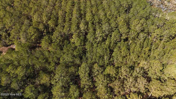 $399,000 | Lot 7 Sandy Point Road, Scranton, NC 27875