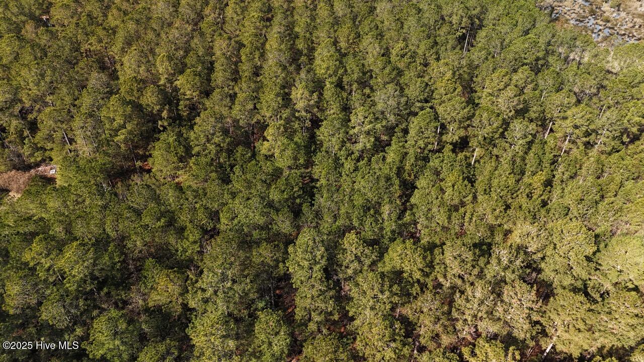 Lot 7 Sandy Point Road Scranton, NC 27875 - Photo 7 of 53 DJI_20250203121707_0222_D Large