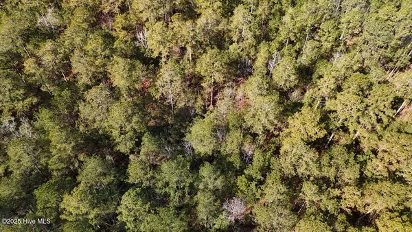 $399,000 | Lot 7 Sandy Point Road, Scranton, NC 27875