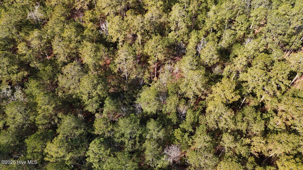 Lot 7 Sandy Point Road Scranton, NC 27875 - Photo 8 of 53 DJI_20250203121741_0223_D Large