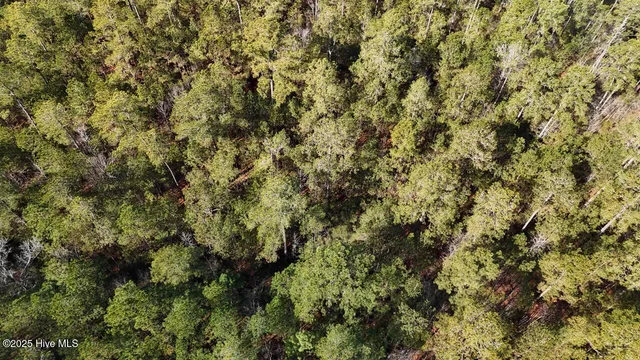 $399,000 | Lot 7 Sandy Point Road, Scranton, NC 27875