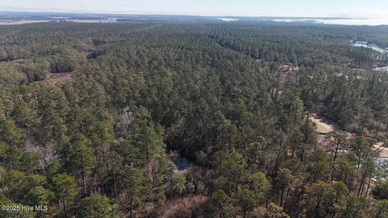Lot 7 Sandy Point Road Scranton, NC 27875 - Photo 10 of 53 DJI_20250203122322_0245_D Large