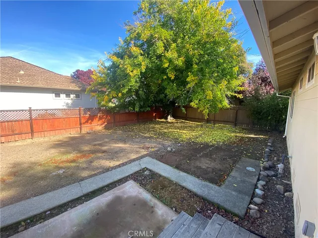 a view of a yard with an tree