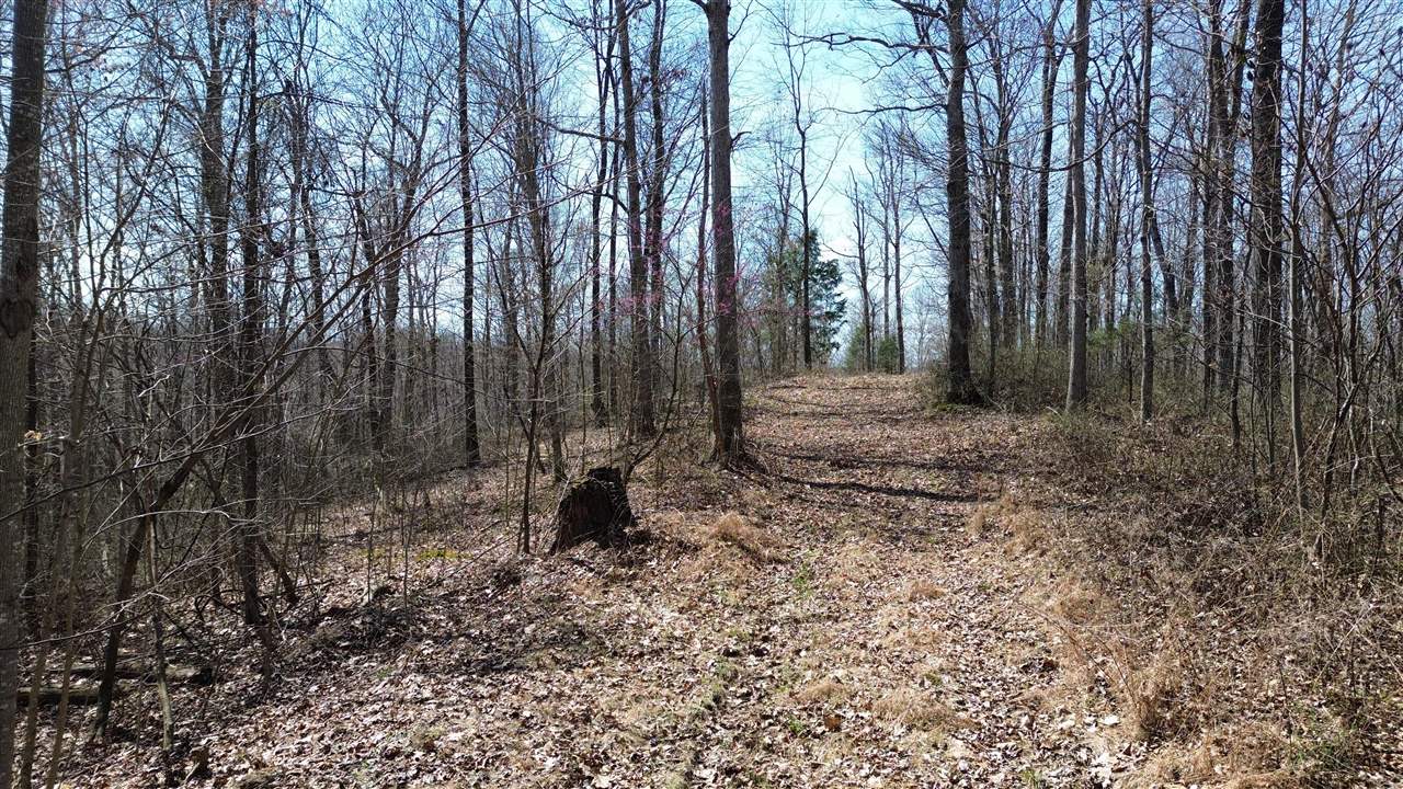20 A Riverside Benleo Road Bowling Green, KY 42101 - Photo 19 of 26 Gallery Image 19