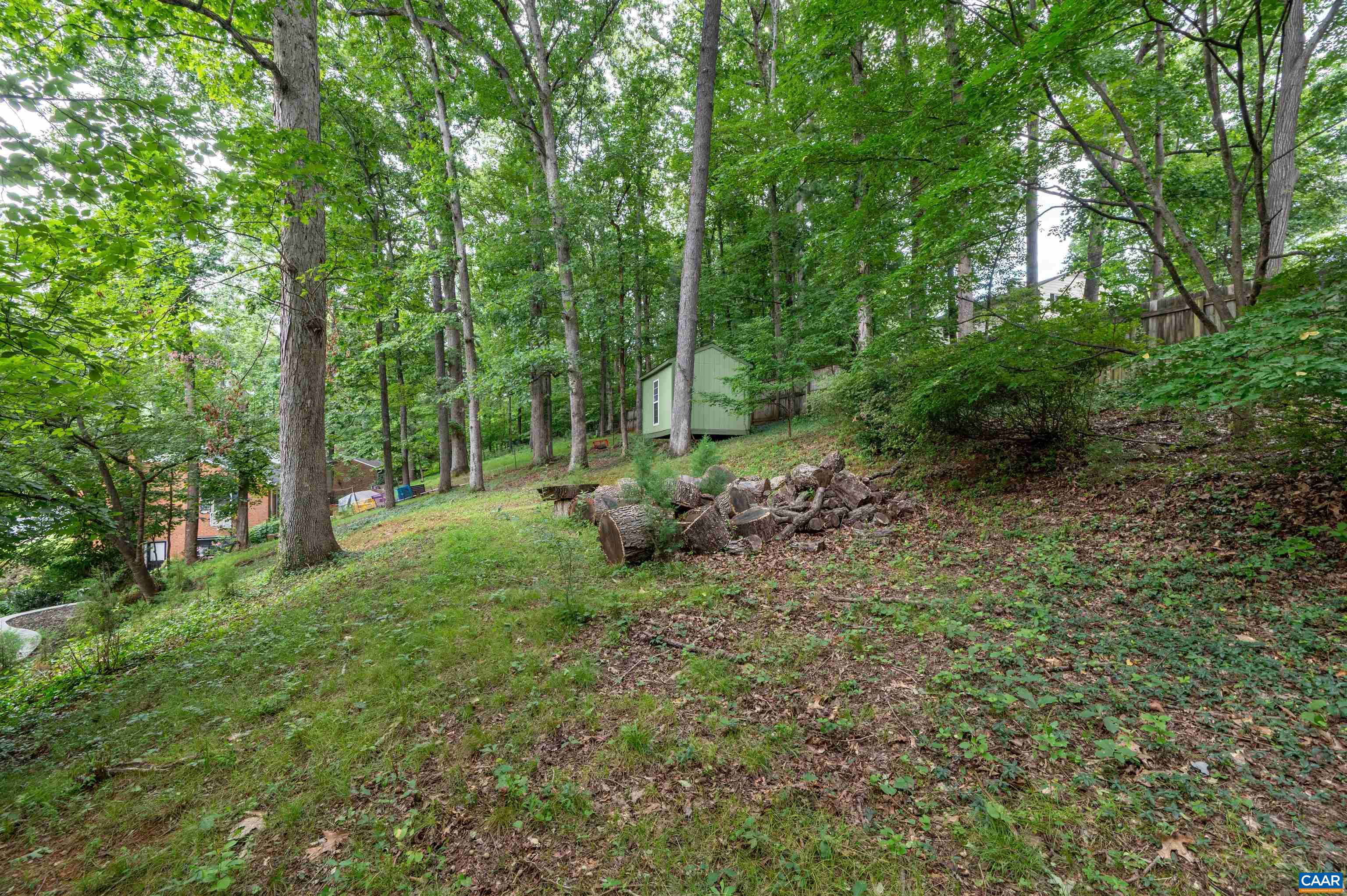 2232 Brandywine Drive Charlottesville, VA 22901 - Photo 48 of 53 a big yard with lots of green space and deers