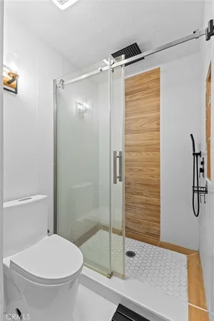 a bathroom with a shower and a toilet