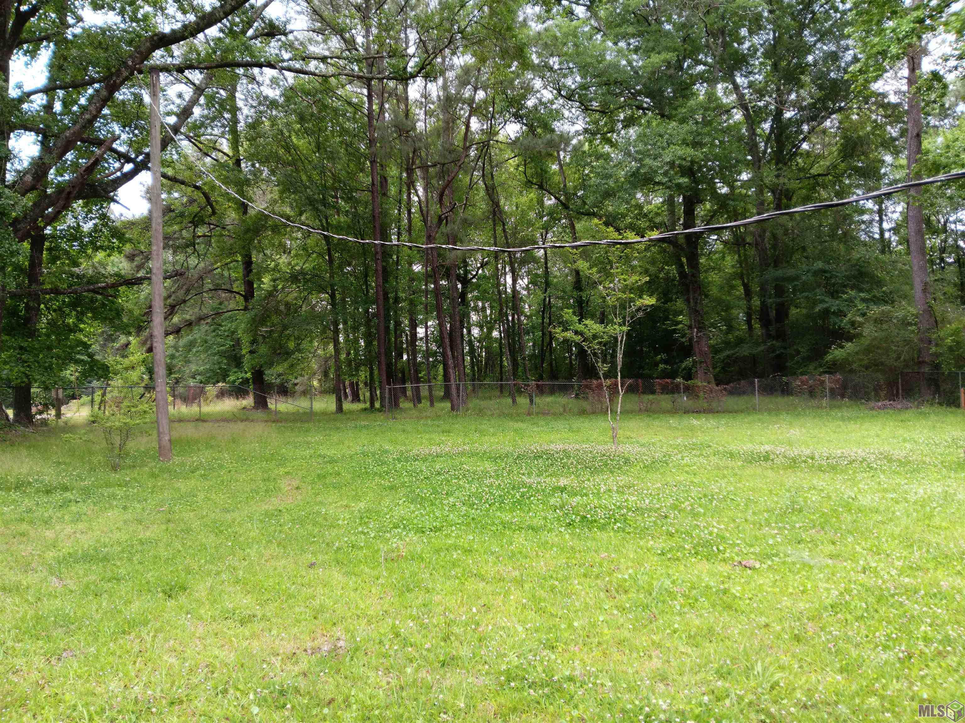 9301 Whitney Lane Slaughter, LA 70777 - Photo 5 of 7