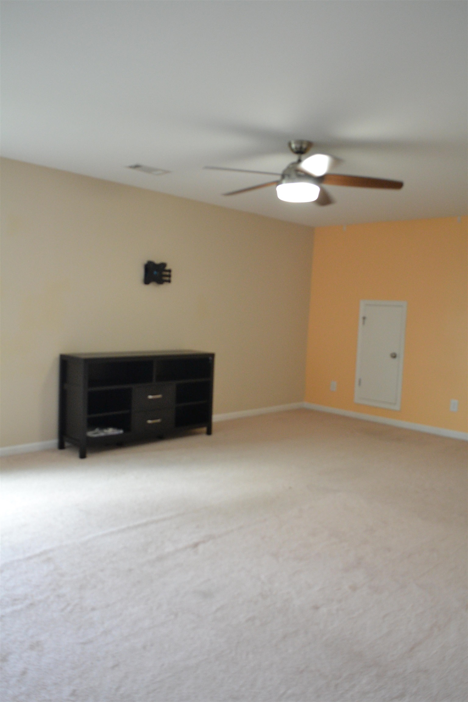 913 Rip Rap Drive Boiling Springs, SC 29316 - Photo 6 of 34 Gallery Image 6