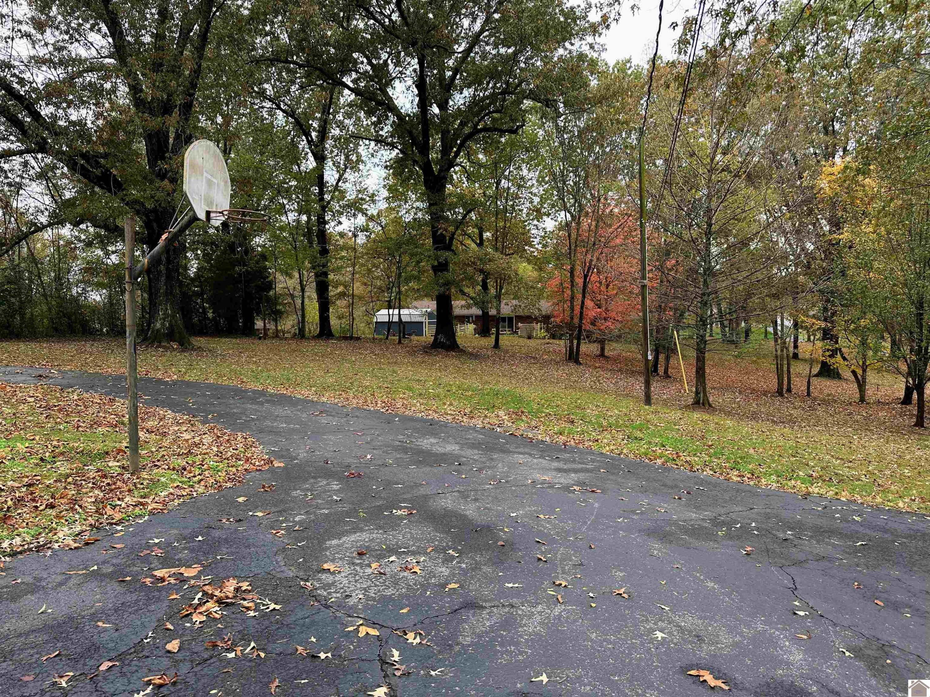 97 Allegheny Road Gilbertsville, KY 42044 - Photo 20 of 21 Photo 20