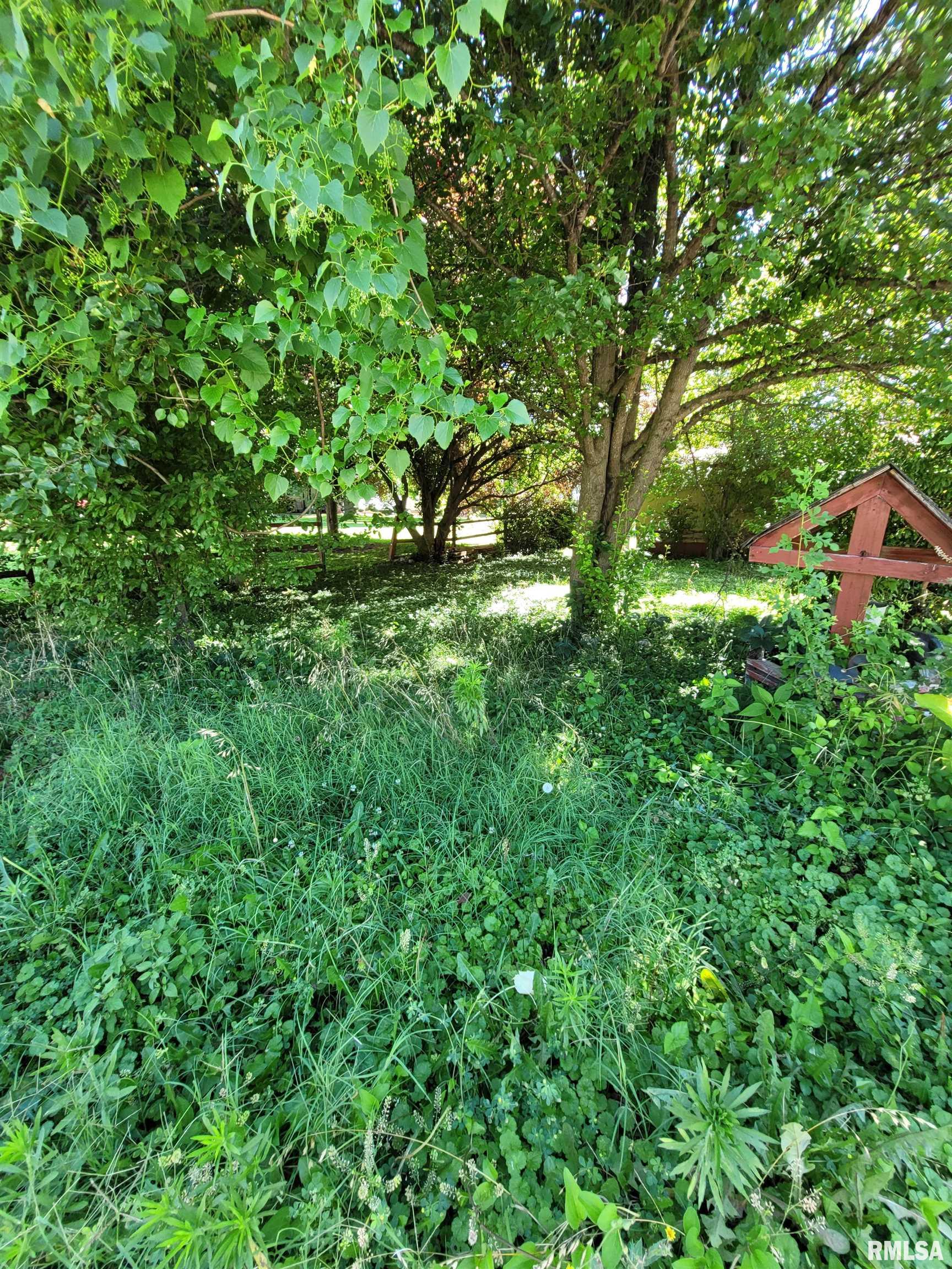 340 Canal Street Cave In Rock, IL 62919 - Photo 24 of 26