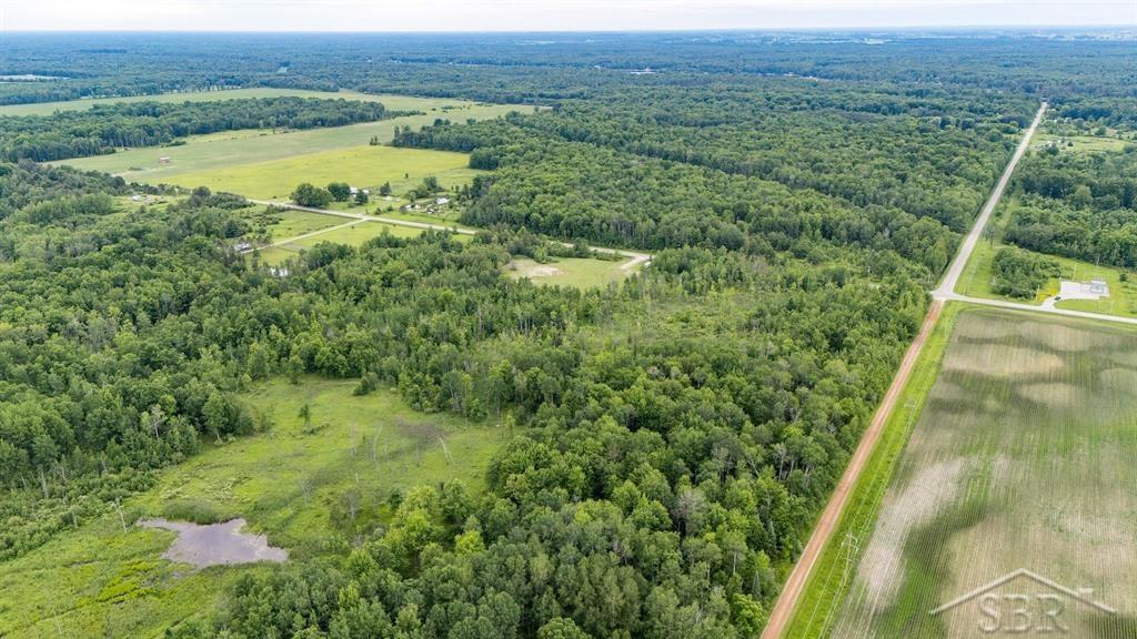 3428 3 Rivers Road Gladwin, MI 48624 - Photo 7 of 28